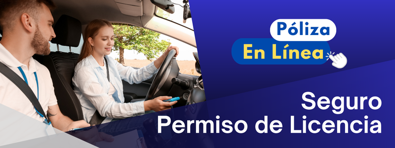 Permiso de Conducir